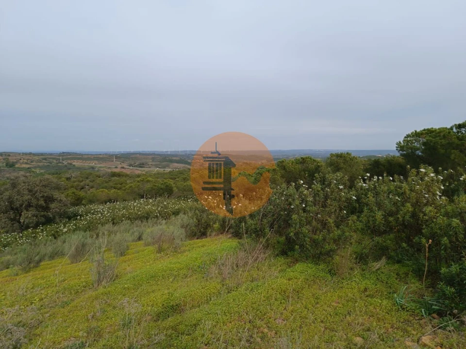 Terreno para Venda em Azinhal Foto 36