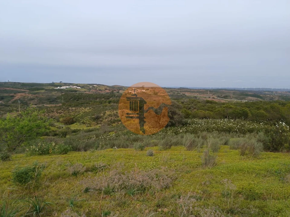 Terreno para Venda em Azinhal Foto 37