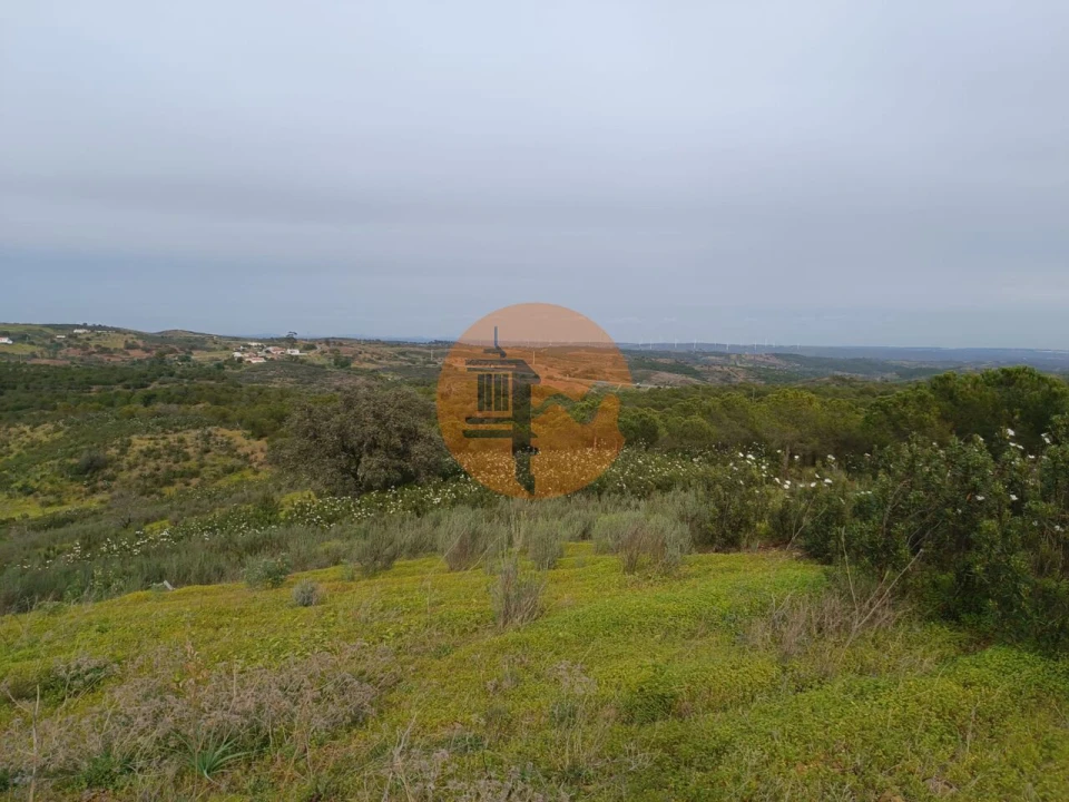 Terreno para Venda em Azinhal Foto 40