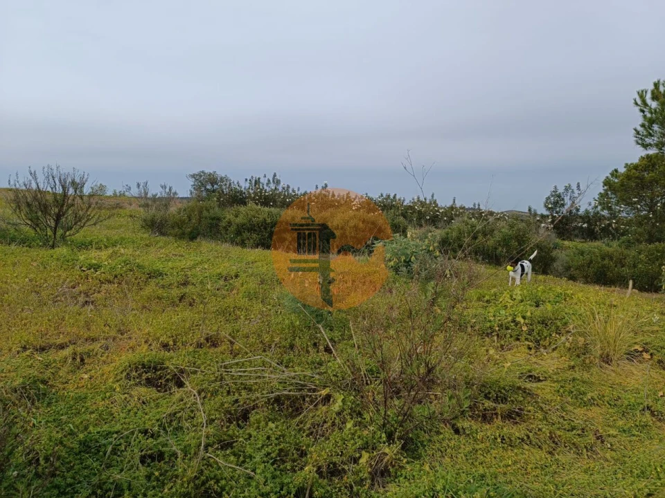 Terreno para Venda em Azinhal Foto 41