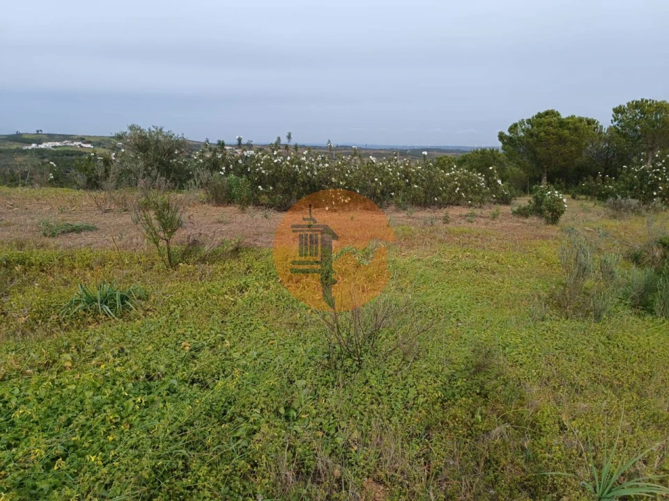 Terreno para Venda em Azinhal Foto 43