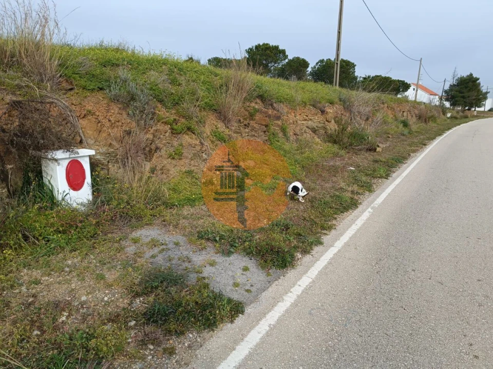 Terreno para Venda em Azinhal Foto 44