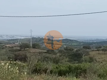 Terreno para Venda em Azinhal