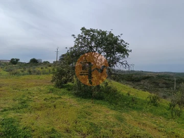 Terreno para Venda em Azinhal