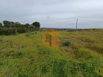 Terreno para Venda em Azinhal
