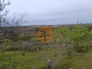 Terreno para Venda em Azinhal