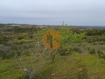Terreno para Venda em Azinhal