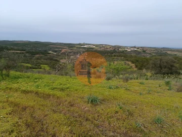 Terreno para Venda em Azinhal