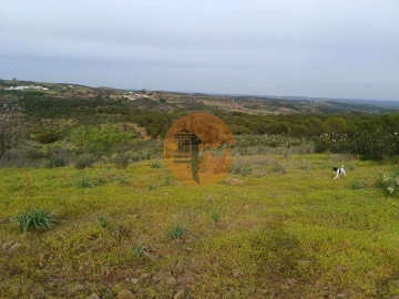 Terreno para Venda em Azinhal