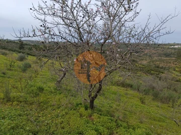 Terreno para Venda em Azinhal