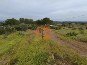 Terreno para Venda em Azinhal