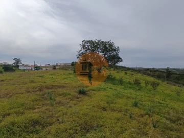 Terreno para Venda em Azinhal