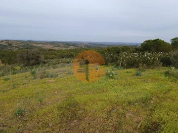 Terreno para Venda em Azinhal