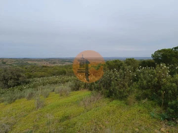 Terreno para Venda em Azinhal