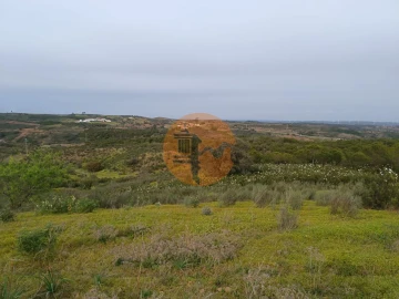Terreno para Venda em Azinhal