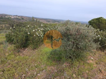 Terreno para Venda em Azinhal