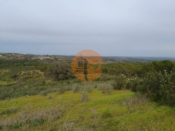 Terreno para Venda em Azinhal