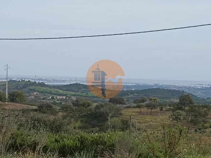 Terreno para Venda em Azinhal Foto 7