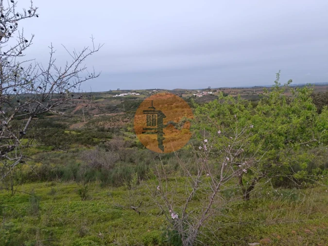 Terreno para Venda em Azinhal Foto 14