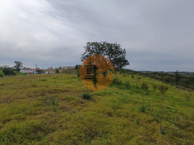 Terreno para Venda em Azinhal Foto 30
