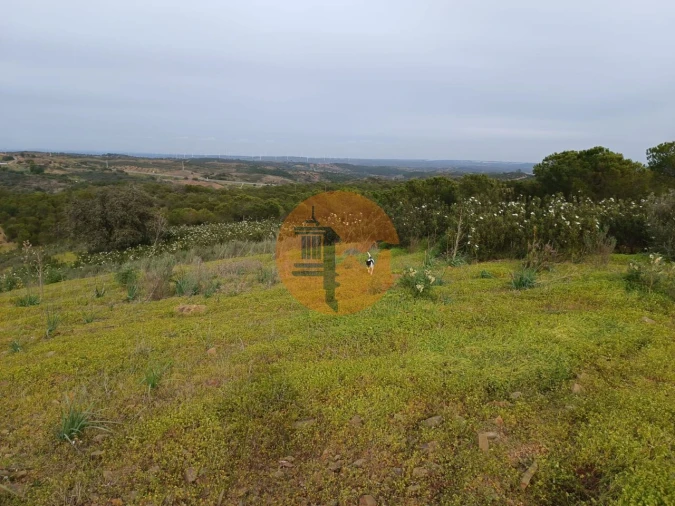 Terreno para Venda em Azinhal Foto 32