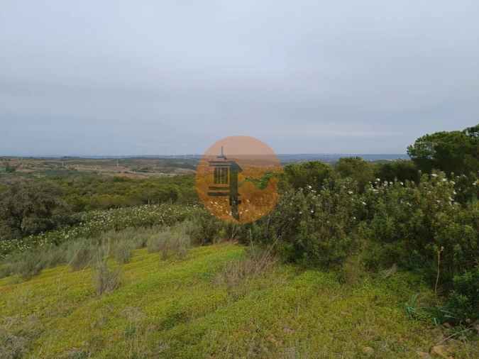 Terreno para Venda em Azinhal Foto 36