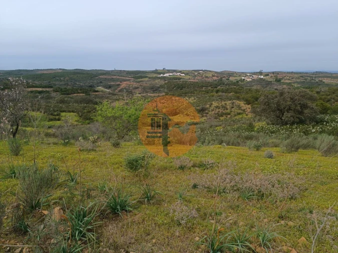 Terreno para Venda em Azinhal Foto 38