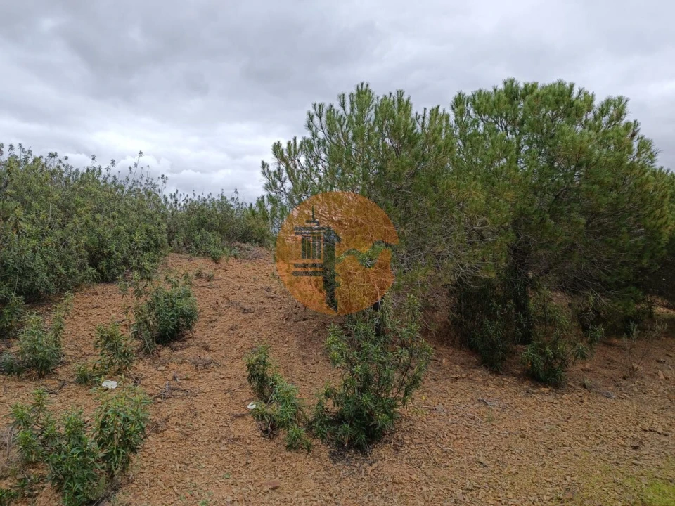 Terreno para Venda em Azinhal Foto 3
