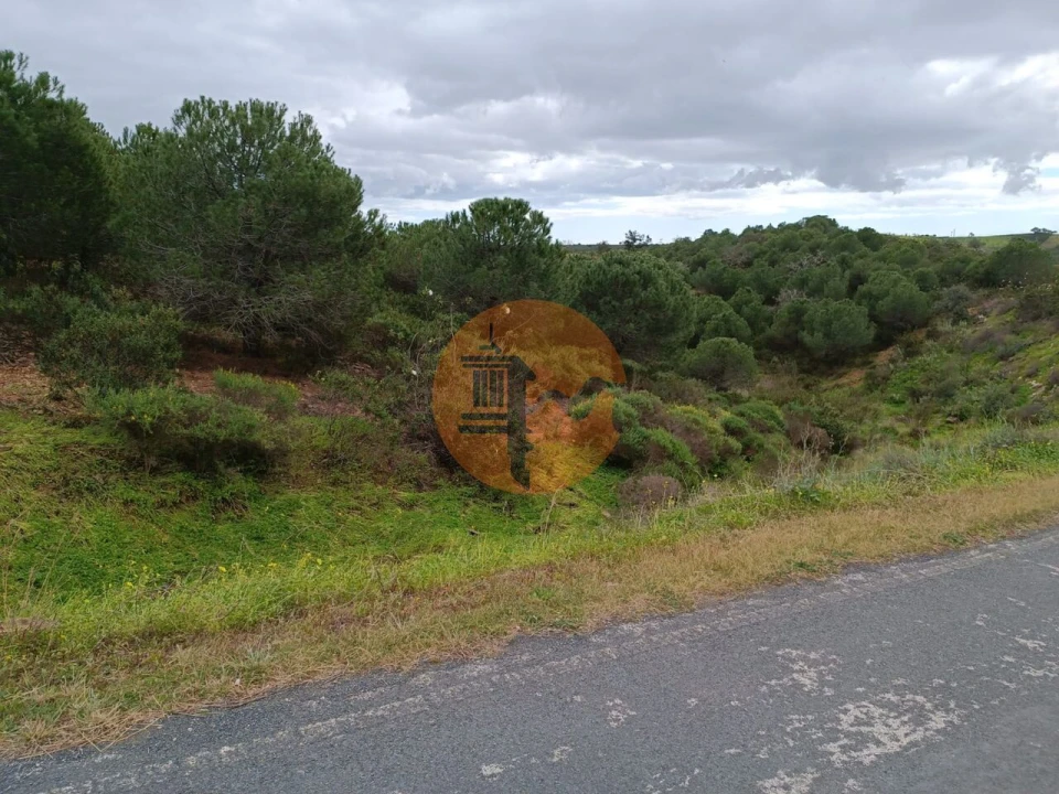 Terreno para Venda em Azinhal Foto 11