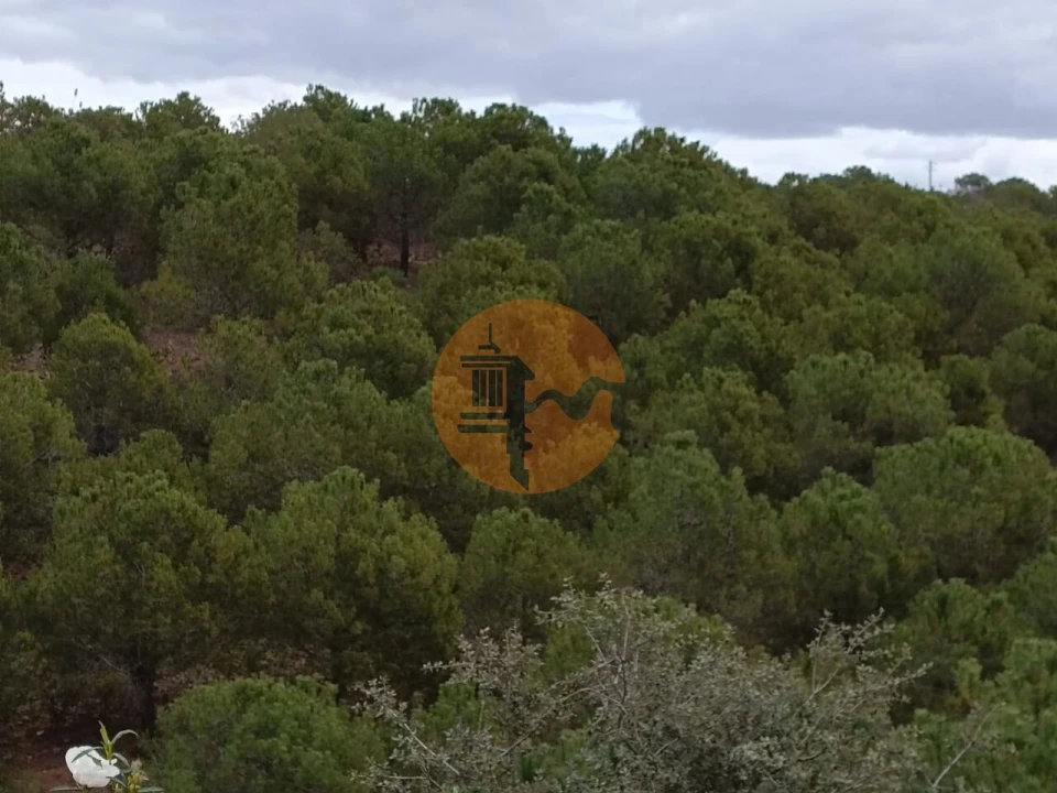 Terreno para Venda em Azinhal Foto 25