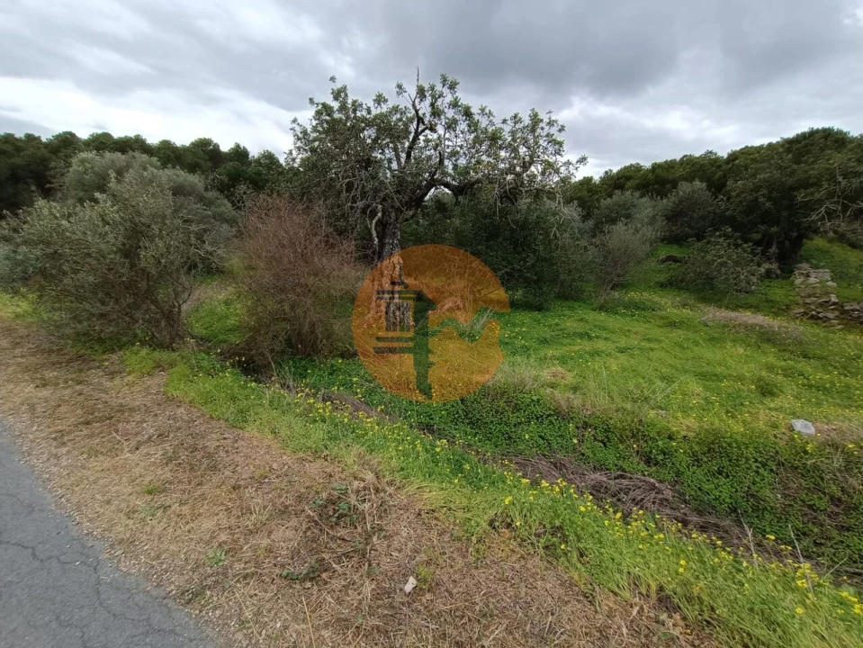 Terreno para Venda em Azinhal Foto 33