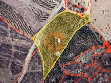 Terreno para Venda em Azinhal