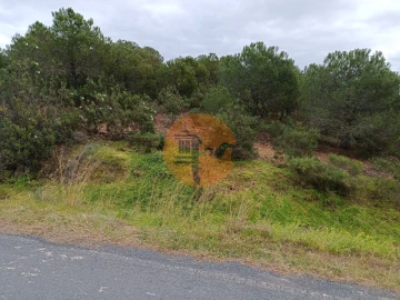 Terreno para Venda em Azinhal