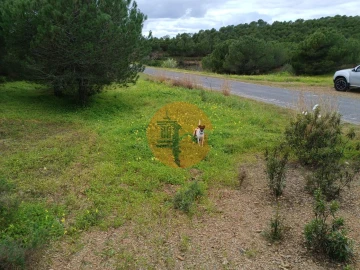Terreno para Venda em Azinhal