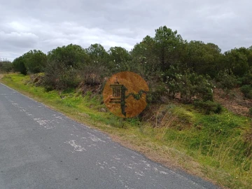 Terreno para Venda em Azinhal