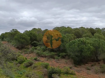 Terreno para Venda em Azinhal
