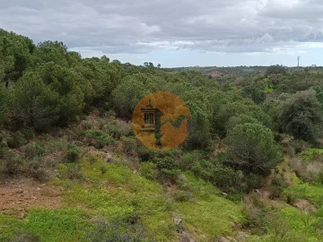 Terreno para Venda em Azinhal