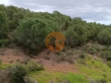 Terreno para Venda em Azinhal