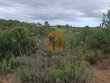 Terreno para Venda em Azinhal