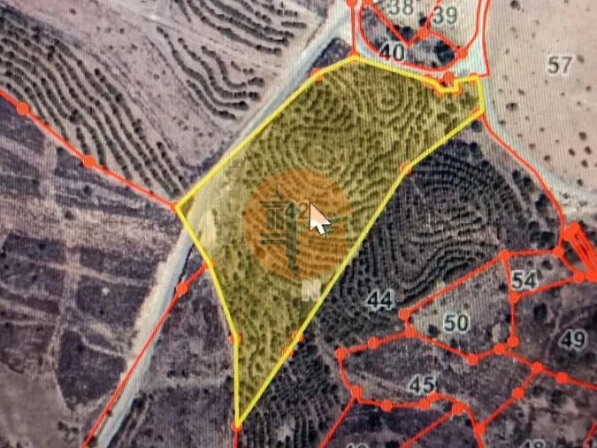 Terreno para Venda em Azinhal Foto 2