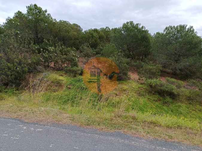 Terreno para Venda em Azinhal Foto 9