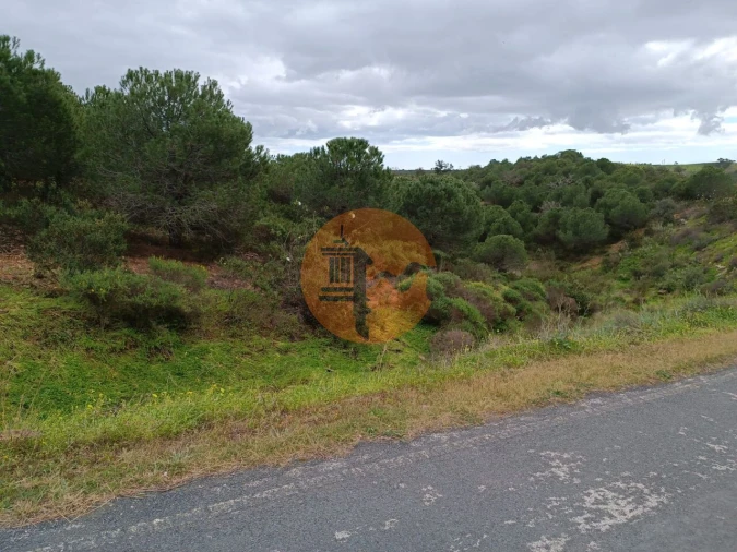 Terreno para Venda em Azinhal Foto 11