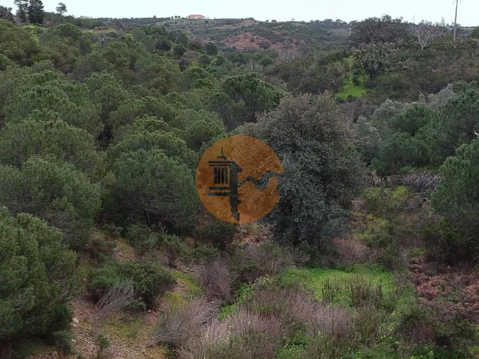 Terreno para Venda em Azinhal Foto 12