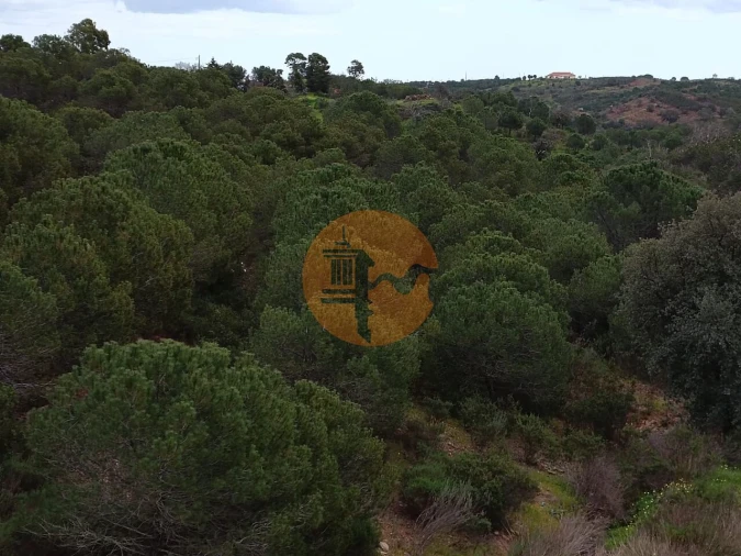 Terreno para Venda em Azinhal Foto 17