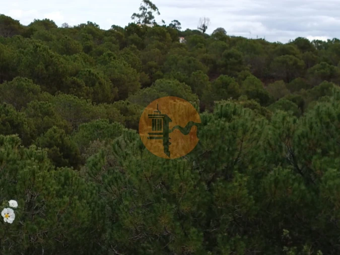 Terreno para Venda em Azinhal Foto 24
