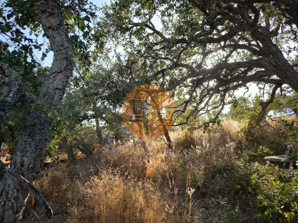 Terreno para Venda em Castro Marim Foto 18