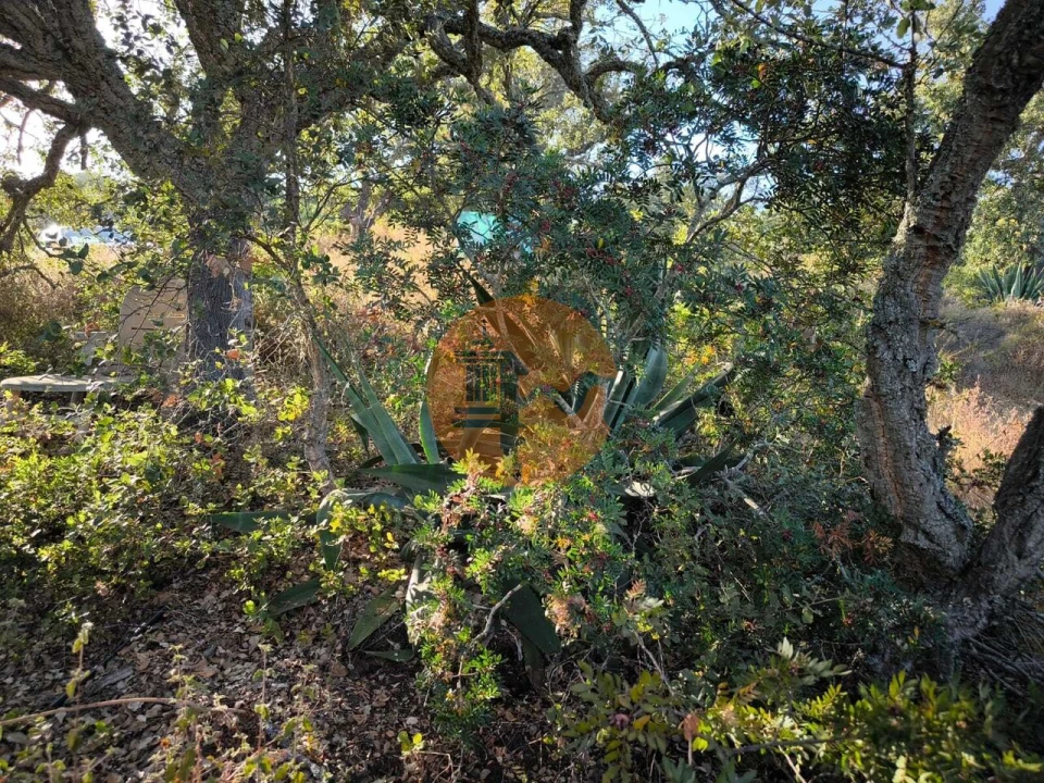 Terreno para Venda em Castro Marim Foto 19