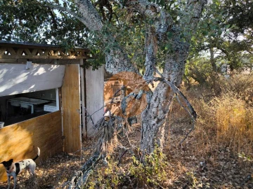 Terreno para Venda em Castro Marim