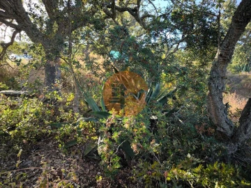 Terreno para Venda em Castro Marim