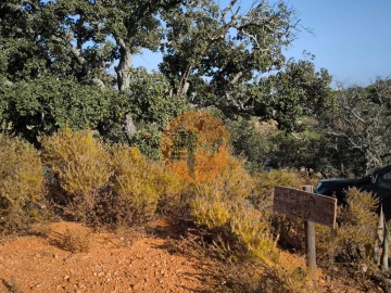 Terreno para Venda em Castro Marim